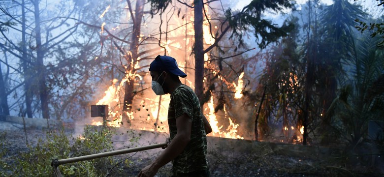 Lasy to wcale nie taki oczywisty sposób na czyszczenie powietrza – a co, kiedy płoną? 