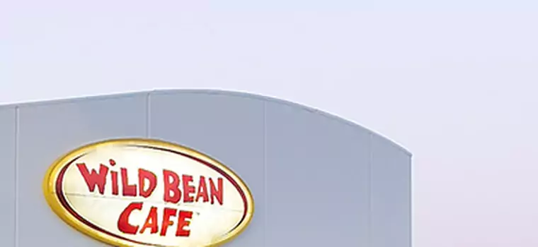 Wild Bean Cafe – sukces smaku