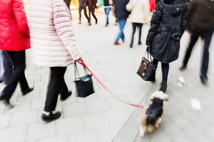 Zasady dotyczące wcześniejszej emerytury okazały się niekonstytucyjne w jednym przypadku