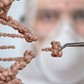 Scientist is replacing part of a DNA molecule. Genetic engineering and gene manipulation concept.