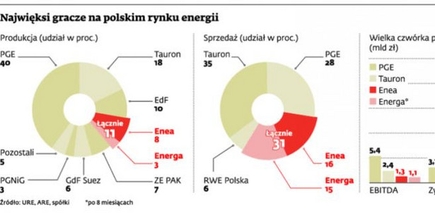 Najwięksi gracze na polskim rynku energii
