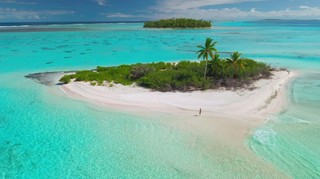 Trzaskowski, Nawrocki, Mentzen, Hołownia czy Braun? Zobacz, którego z kandydatów Polacy wysłaliby na bezludną wyspę [SONDAŻ]