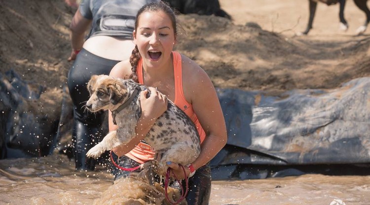 Eger ad helyszínt a következő Hard Dog Race-nek.