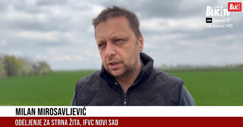 Milan Mirosavljević