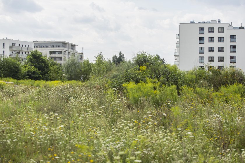 Naramowice odcięte od świata