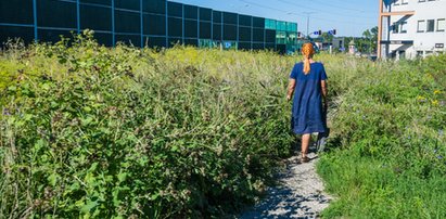 Nieskoszona trawa na Ruczaju. Mieszkańcy apelują do miasta