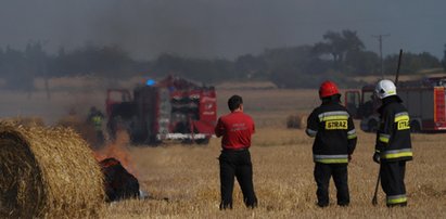 Podpalacz grasuje w Łodzi? Pożar pola na Górnej