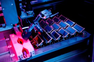 "FT": Klasyczny Darwin lekiem na nowotwory