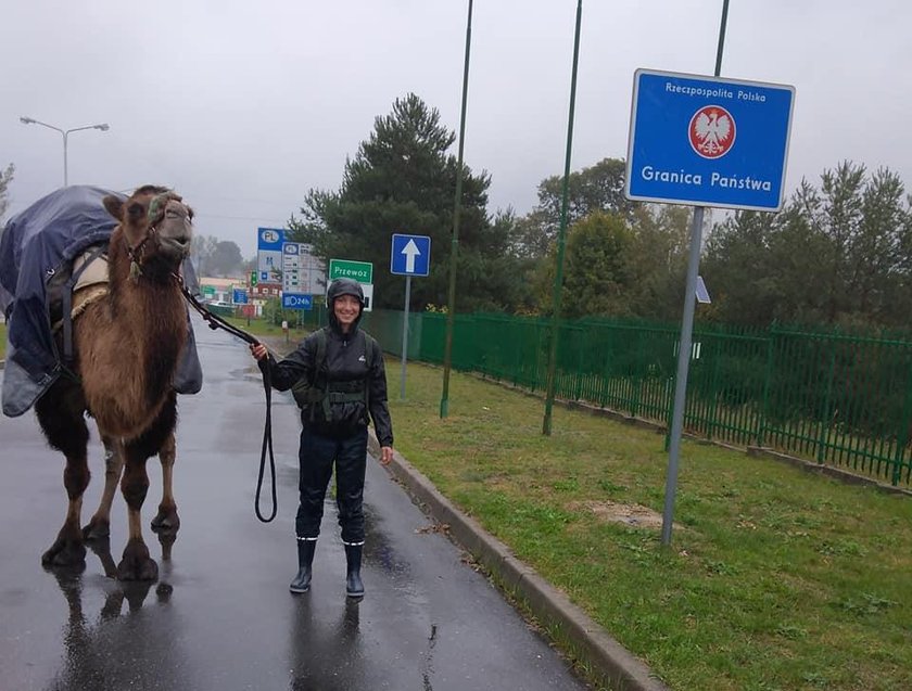 Wielbłądzica Attika