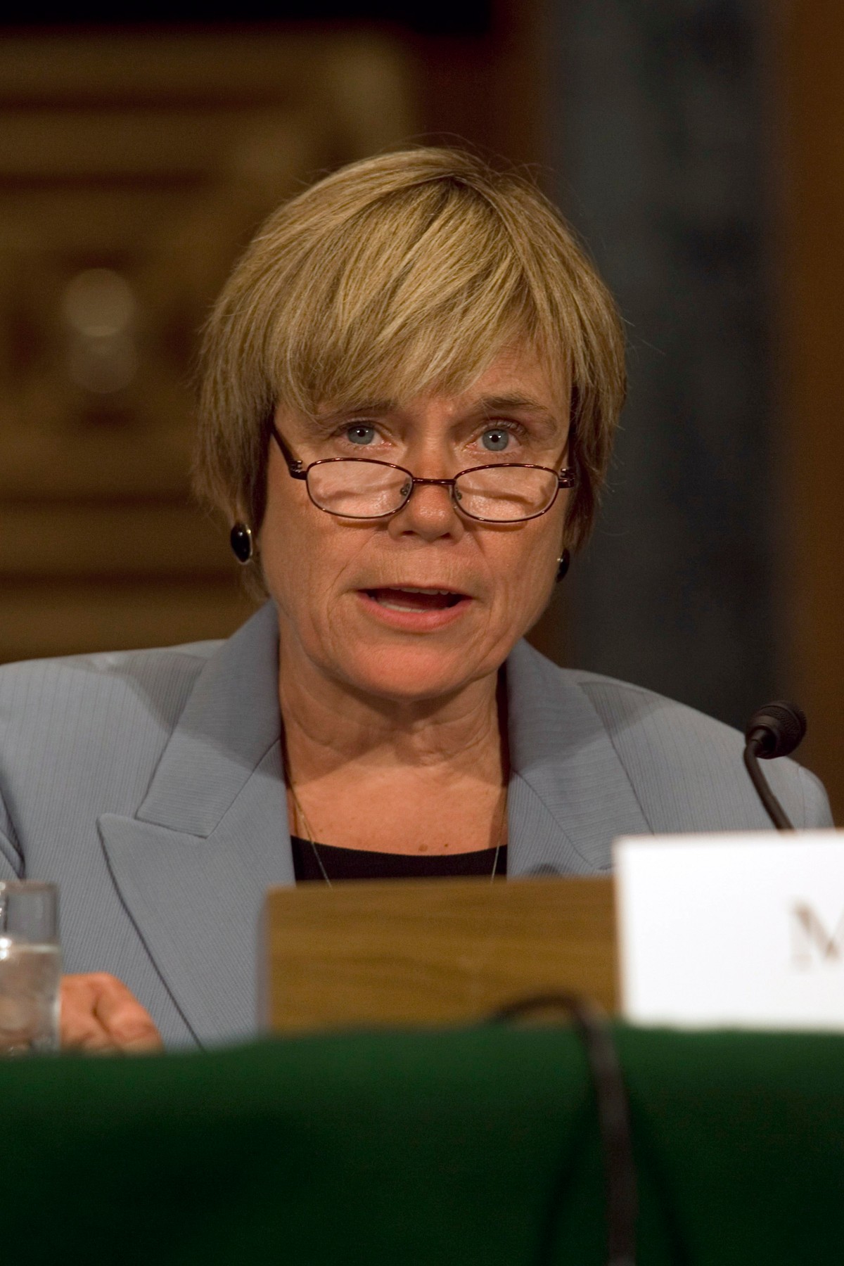 Gubernator Fed Elizabeth Duke
