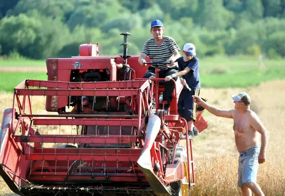 Lato dzieci na wsi. "Pracowaliśmy jak woły"