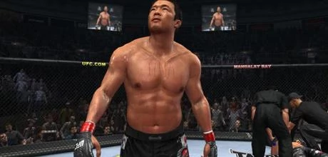 Screen z gry "UFC: Undisputed 2010"