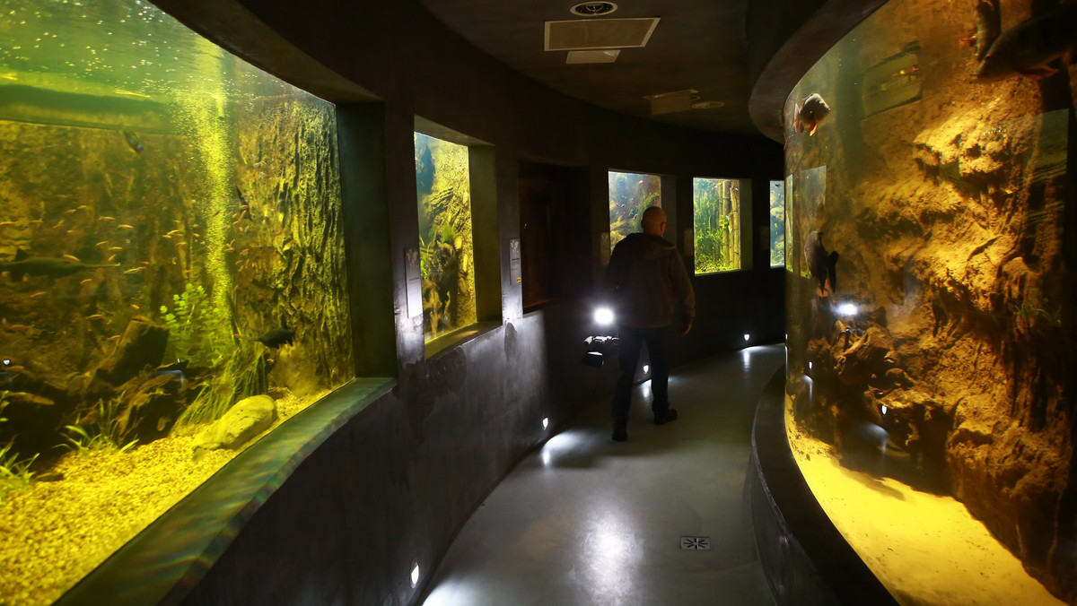 Jedną z największych w Polsce ekspozycję fauny i flory najważniejszych akwenów na świecie, w tym mórz i oceanów, otwarto w Miejskim Ogrodzie Zoologicznym w Płocku (Mazowieckie). Prezentowanych jest tam ponad 200 gatunków zwierząt i 80 gatunków roślin.