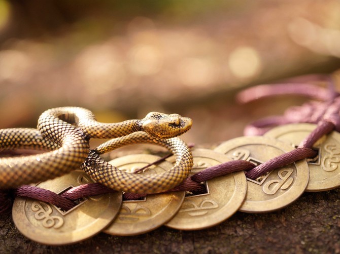 Kineski horoskop za oktobar 2025.
