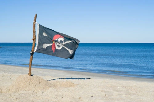 Co będzie dalej z The Pirate Bay? Czy uda im się znaleźć innego operatora?