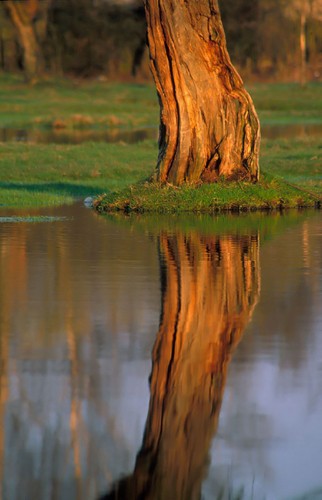 Najpiękniejsze krajobrazy Polski
