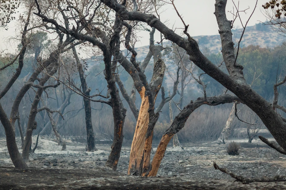Požari u Kaliforniji