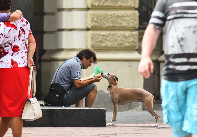 U centru Beograda je toplije nego na obodima prestonice