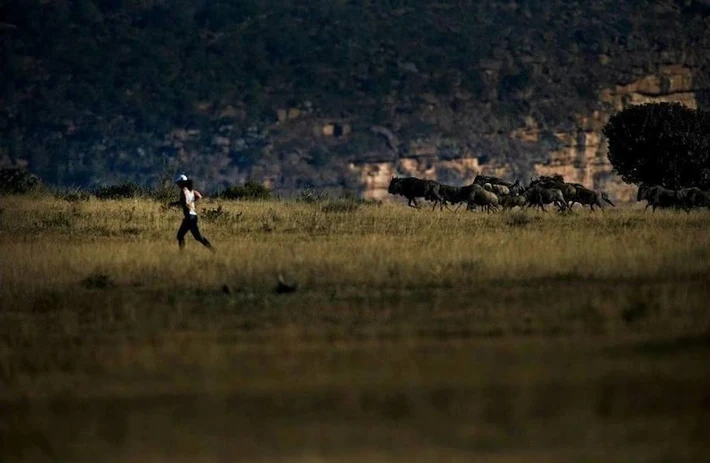 Big Five Marathon, Limpopo, RPA. Dzień wyścigu: 21 czerwca 2014 r.