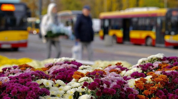 Specjalne linie cmentarne ułatwią dojazd do największych warszawskich nekropolii tym wszystkim, którzy chcą odwiedzić groby bliskich przed dniem Wszystkich Świętych.