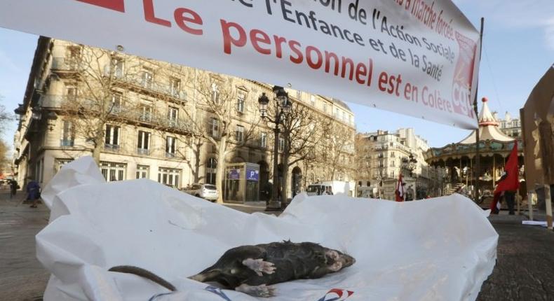 Paris rat-catchers display one of their prey at a protest outside city hall to demand more staff and payment of bonuses