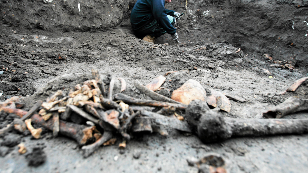 Na ludzkie kości ekipa budowlana natrafiła w okolicy kościoła Matki Boskiej Bolesnej. Natychmiast wstrzymano prace. Teraz znalezisko zabezpieczą archeolodzy. Przerwa w budowie deptaka ma potrwać kilka dni. Urzędnicy zapewnili, że wstrzymanie prac nie wpłynie na ostateczny termin zakończenia tej inwestycji.