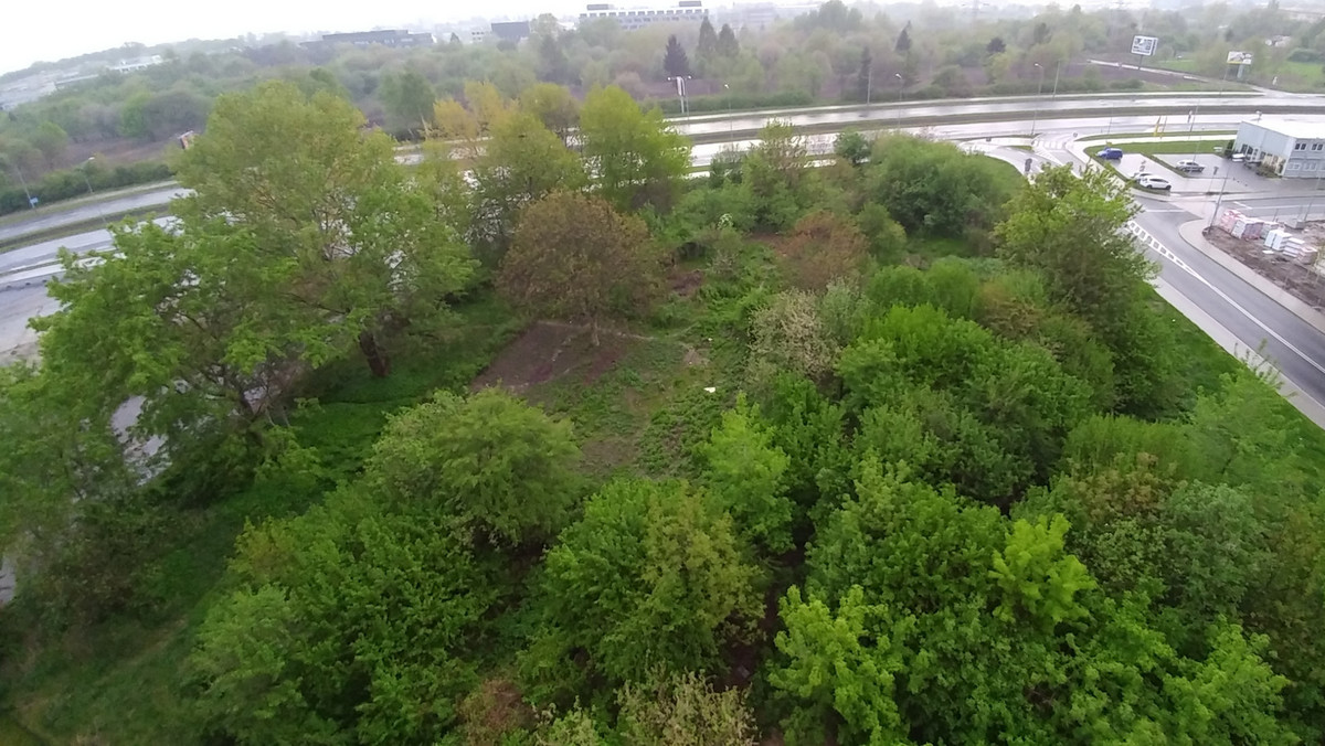 W Czyżynach wzdłuż ulicy Stella-Sawickiego ma powstać park. Tak zdecydowali mieszkańcy w ramach budżetu obywatelskiego. Jednak w opracowywanym przez magistrat dokumencie "kierunków rozwoju terenów zielonych" część przyszłego parku nie zostało w ogóle uwzględnionych. Tak wynika z zamieszczonej w analizie mapki. Urząd: to nasz błąd.