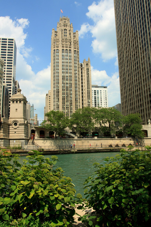 Tribune Tower w Chciago