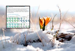 Pogoda na weekend i przyszły tydzień. Czeka nas spore zaskoczenie