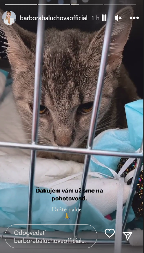 Barbora Balúchová prežila počas sviatkov nočnú moru. 