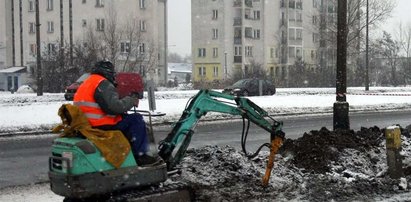 Jedni pracują nawet zimą, inni się obijają