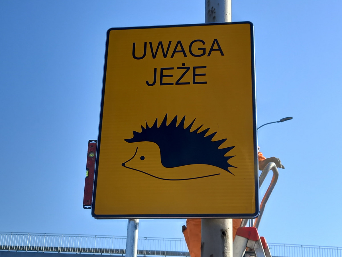 Uwaga na jeże! Nowe znaki drogowe we Wrocławiu!