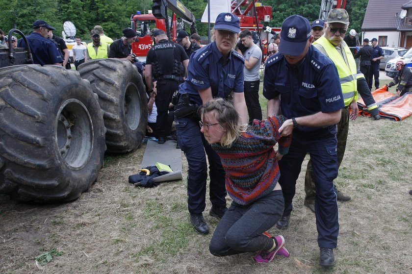 protest Greenpeace w Puszczy Białowieskiej