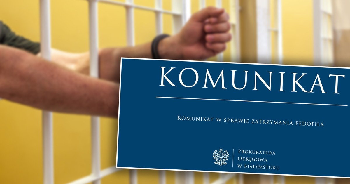 12-latka ofiarą pedofila. Wstrząsający komunikat prokuratury. Ofiar może być więcej