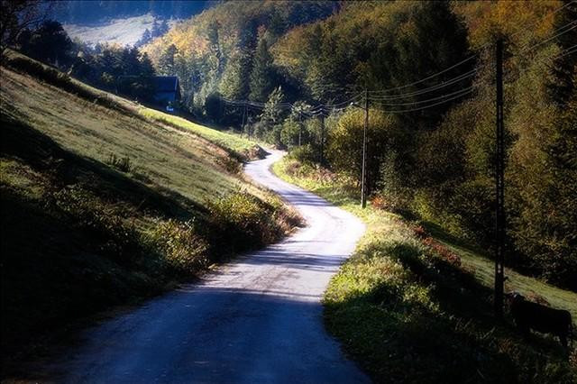 Galeria Polska - Beskidy, obrazek 5