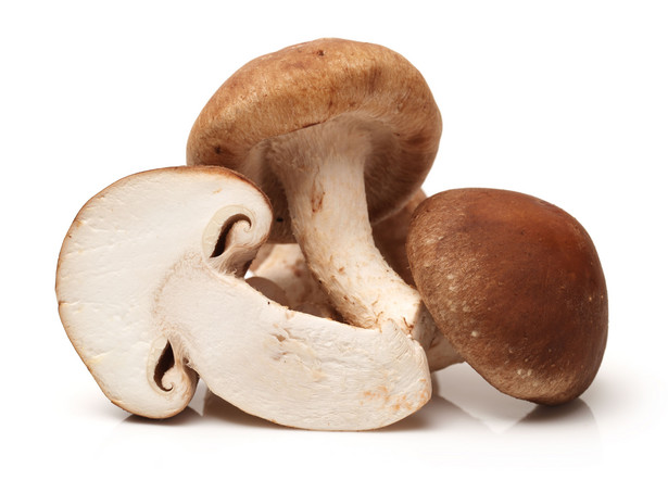 Grzyby shiitake zapobiegają nowotworom