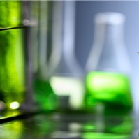 Vírusellenes és immunsstimuláló hatása is van a jövő élelmiszerének