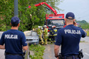 Strażacy usuwają powalone drzewo, po gwałtownej burzy, która przeszła nad Warszawą