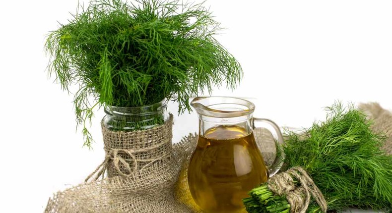 Dill health benefits