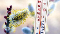 nadchodzą chłodne dni. imgw wydał ostrzeżenia przed przymrozkami i sil