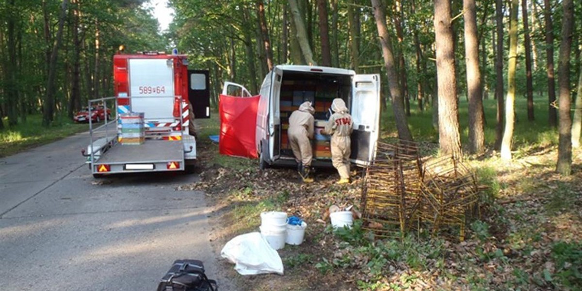 Tragiczny wypadek. Bus z pszczołami rozbił się o drzewo