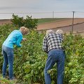 Polacy znów chcą wyjeżdżać na saksy. Powodem jest kryzys