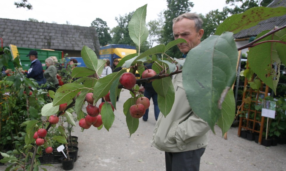 NAWOJOWA WYSTAWA ROLNICZA AGROPROMOCJA 2010