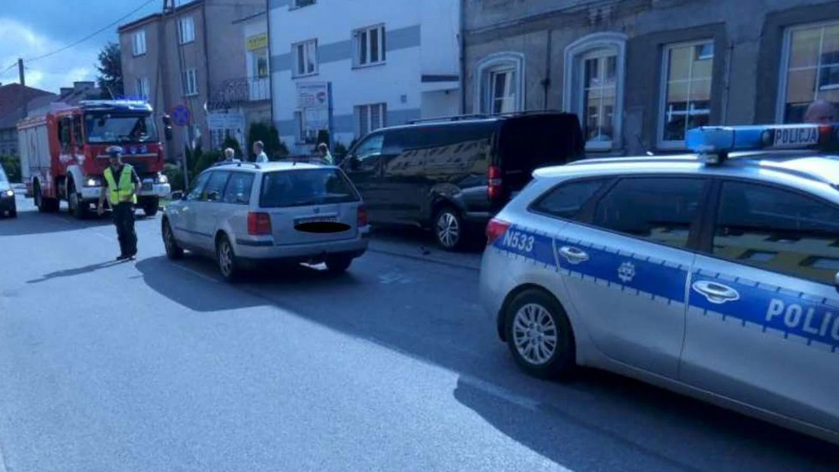 Kościerzyna. Pies pociągnął 8-letniego chłopca wprost pod koła samochodu - Vimarsana News