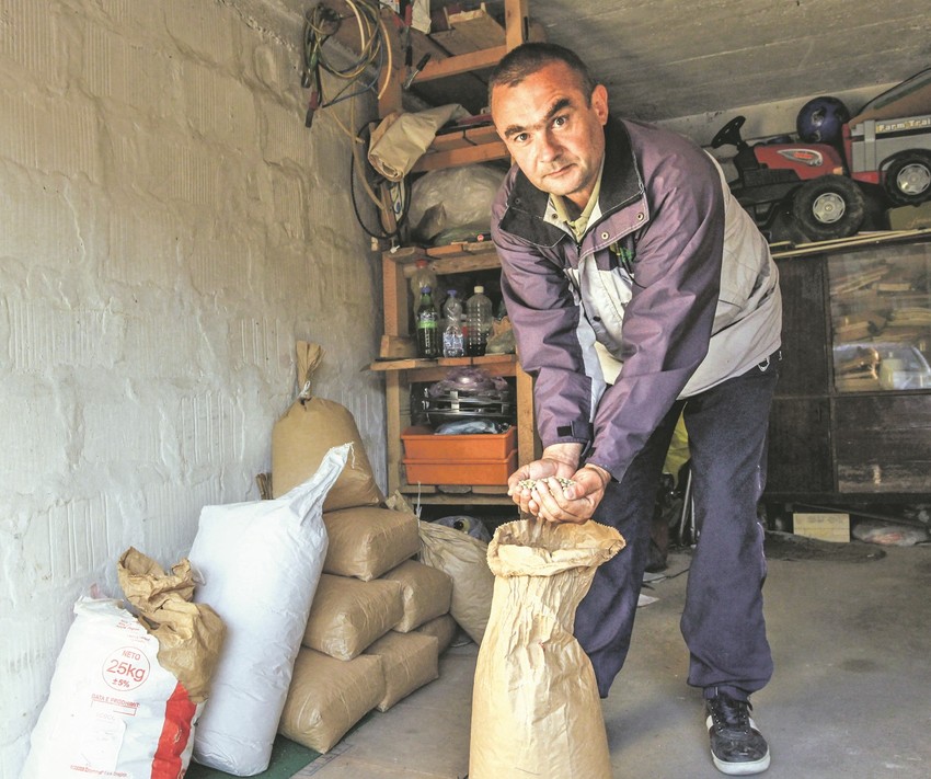 Ako se vodi računa o prinosu i agrotehnici, može da se ostvari dobra zarada: Željko Pandurović