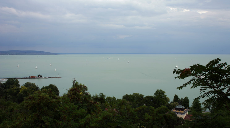 Tűz ütött ki a balatonvilágosi magasparton/ Fotó: Northfoto