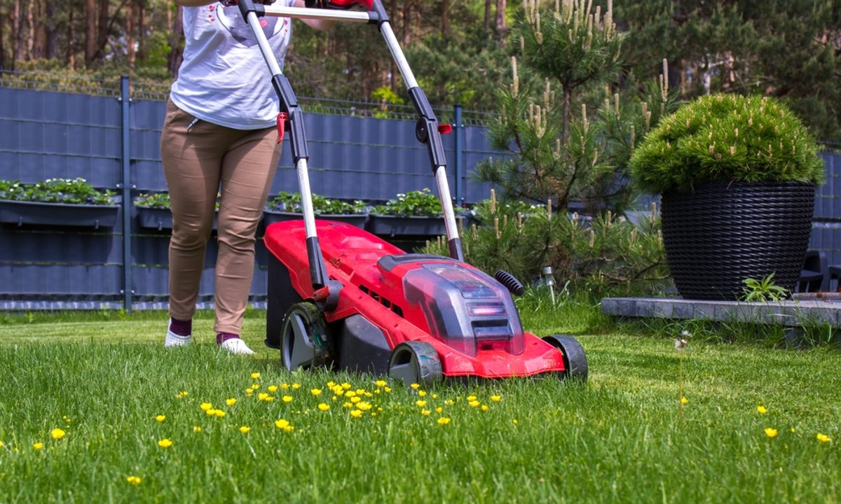 Skoszona trawa to nie odpad. Za jeden błąd możesz zapłacić choćby 500 zł