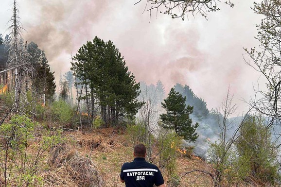 12 DANA POŽARA KOD TRGOVIŠTA Vatrogasci na terenu, vetar dodatno otežava gašenje, evo kakva je trenutno situacija  (FOTO)