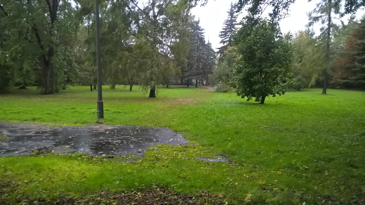 Ekolodzy i miejscy aktywiści zaprotestują jutro pod krakowskim magistratem. W ten sposób chcą wymóc na władzach miasta i radnych, aby ci w przyszłorocznym budżecie miasta zarezerwowali więcej pieniędzy na wykup terenów zielonych. Chcą także, aby urzędnicy zobligowali się, że co roku jeden procent pieniędzy z miejskiej kasy będzie szedł na pozyskiwanie zielonych gruntów.