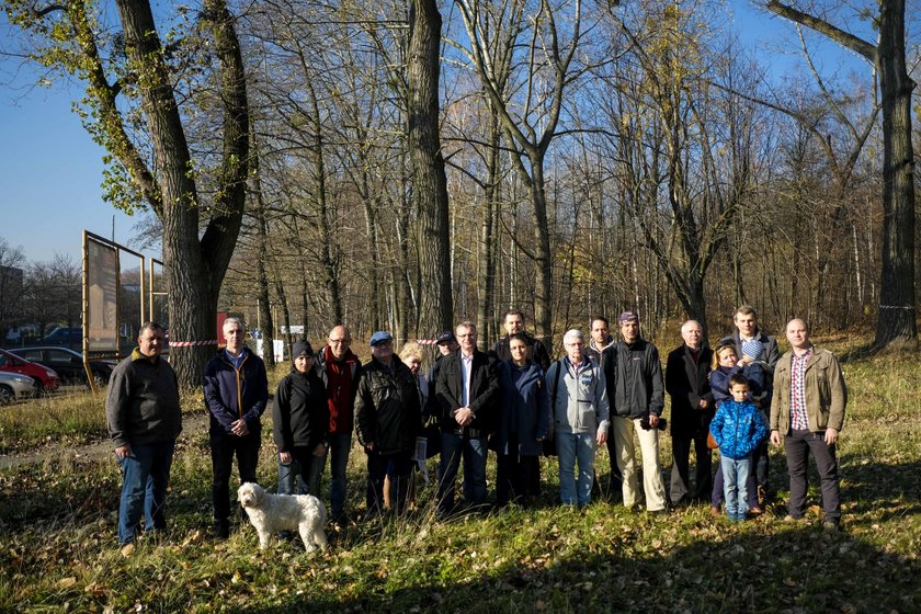 Chcą wyciąć 1327 drzew! Jest protest!